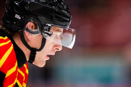 Brynäs David Sklenicka