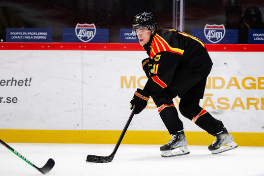 Brynäs Kevin Roy
