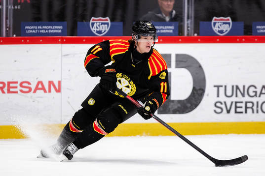 Brynäs Kevin Roy