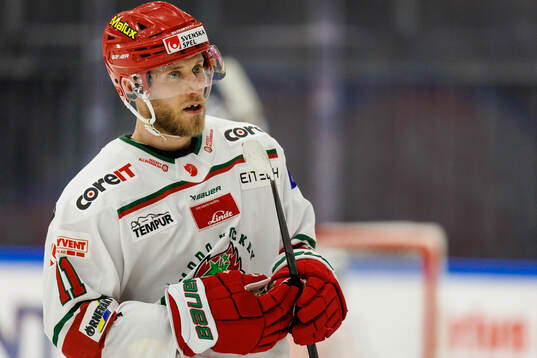 Modos Josef Ingman