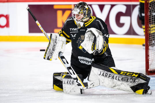 AIKs målvakt Claes Endre