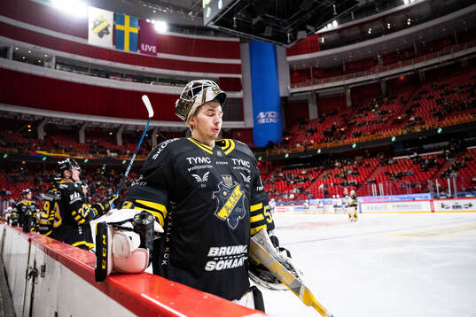 AIKs målvakt Claes Endre