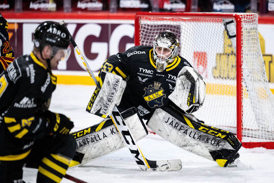 AIKs målvakt Claes Endre