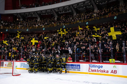 AIKs spelare jublar