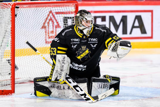 AIKs målvakt Claes Endre