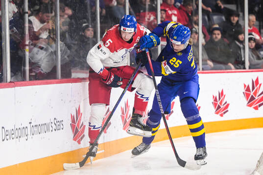 David Jiricek of Czech Republic and Milton Oscarson of