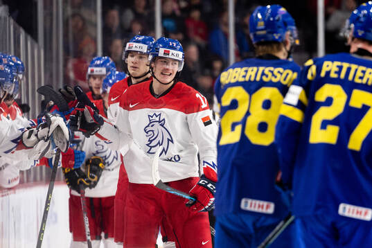 Petr Hauser of Czech Republic celebrates the 2-2 goal