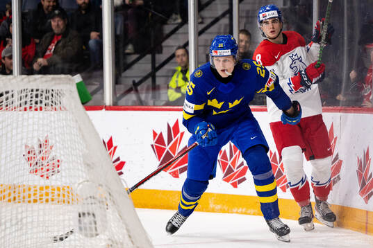 Milton Oscarson of Sweden and David Moravec of Czech