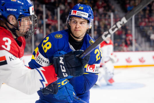 David Spacek of Czech Republic and Simon Robertsson of