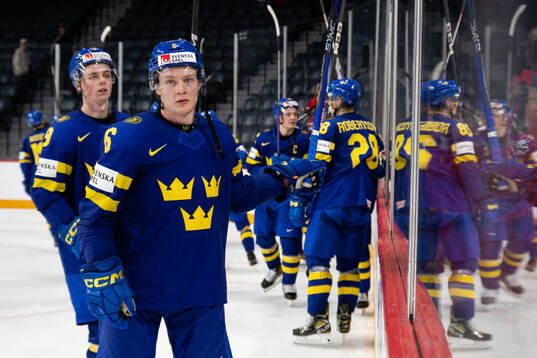 Victor Sjöholm of Sweden celebrates