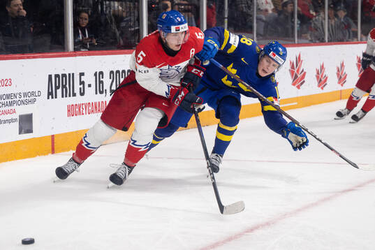 David Jiricek of Czech Republic and Filip Bystedt of Sweden
