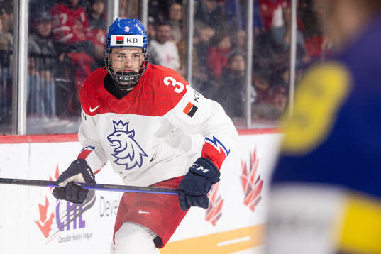 David Spacek of Czech Republic