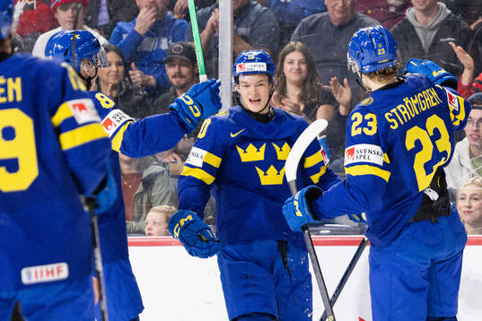 Fabian Wagner of Sweden celebrates the 1-1 goal