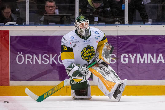 Björklövens målvakt Alex Dorio