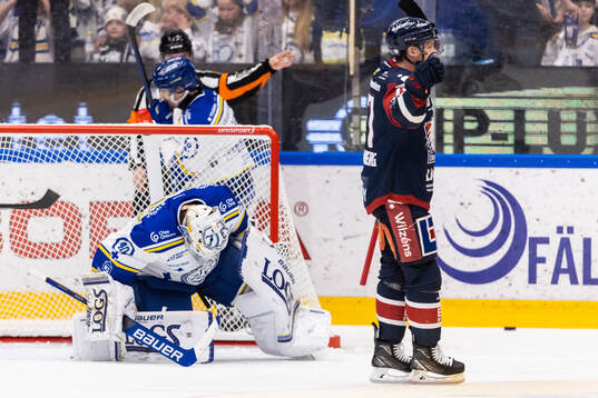 Leksands målvakt Mantas Armalis deppar
