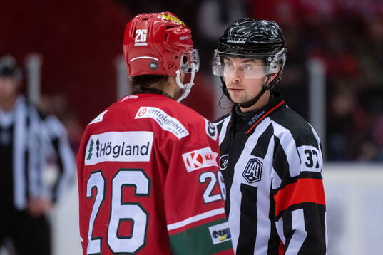 Domare Johan Wedin