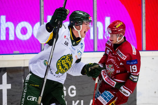 Björklövens Elliot Ekefjärd jublar samtidigt som Modos