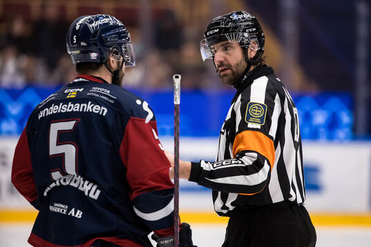 Domare Mikael Sjöqvist
