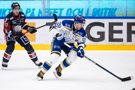 Leksands Mikael Ruohomaa