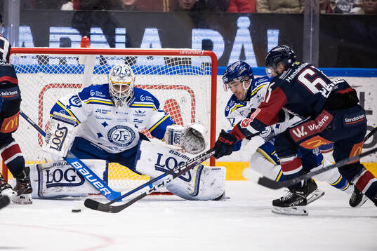 Leksands målvakt Mantas Armalis