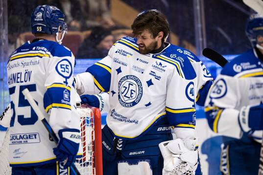 Leksands målvakt Mantas Armalis