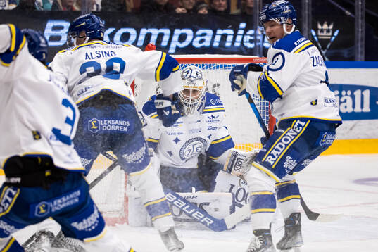 Leksands målvakt Mantas Armalis
