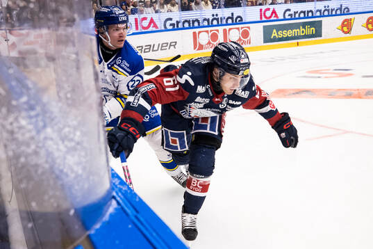Linköpings Markus Ljungh