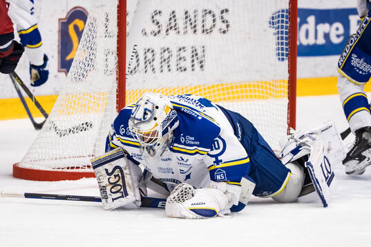Leksands målvakt Mantas Armalis