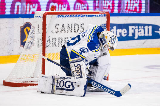 Leksands målvakt Mantas Armalis