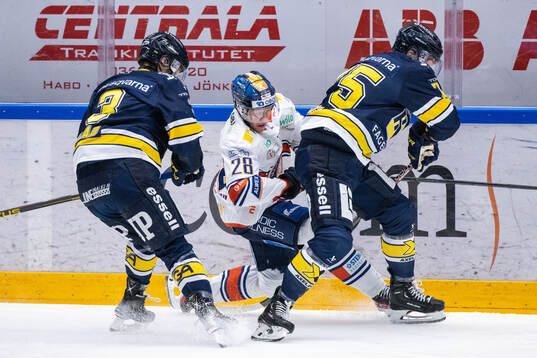 HV71s Daniel Glad och Radan Lenc