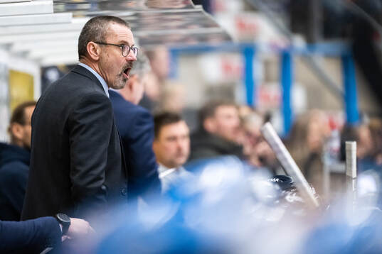 HV71s tränare Tommy Samuelsson