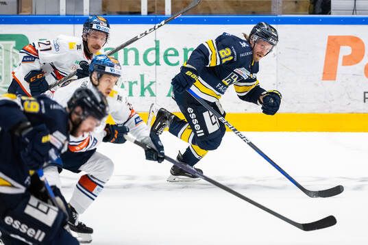 HV71s Mattias Tedenby