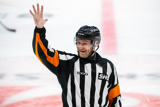 Domare Daniel Eriksson