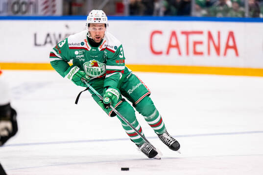 Rögles Michael Kapla