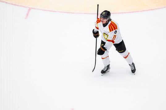 Brynäs Kevin Roy jublar