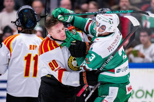 Brynäs David Sklenicka och Rögles Michael Kapla