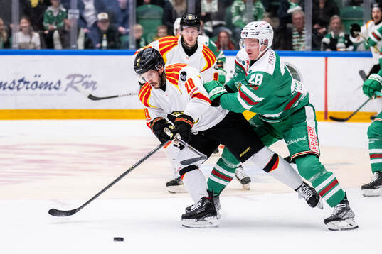Brynäs Oula Palve och Rögles Anton Bengtsson