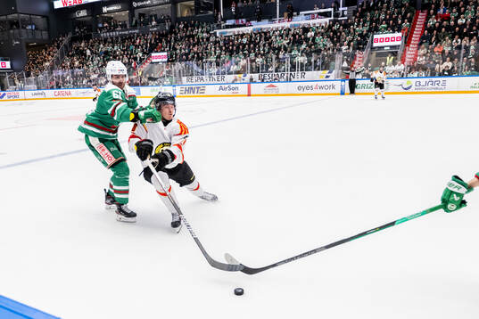 Rögles Ludvig Larsson och Brynäs Dmytro Timashov