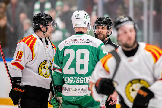 Brynäs Nick Olesen och Rögles Anton Bengtsson i samtal
