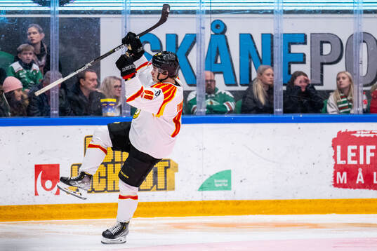 Brynäs Dmytro Timashov jublar