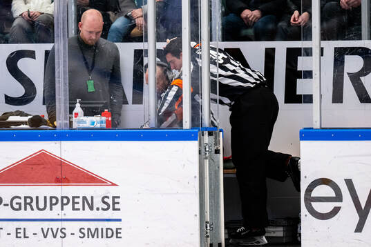 Domare Marcus Linde och domare Kristoffer Folkstrand