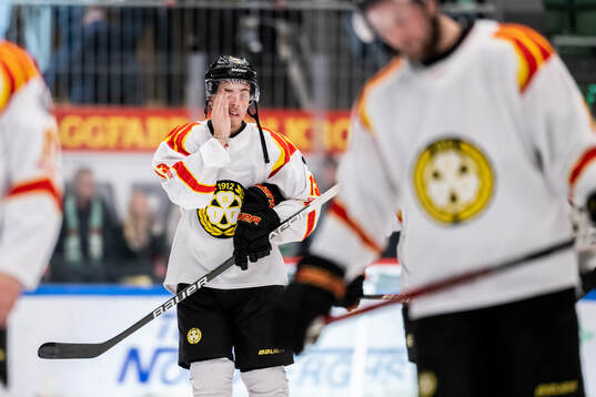 Brynäs Samuel Johannesson deppar