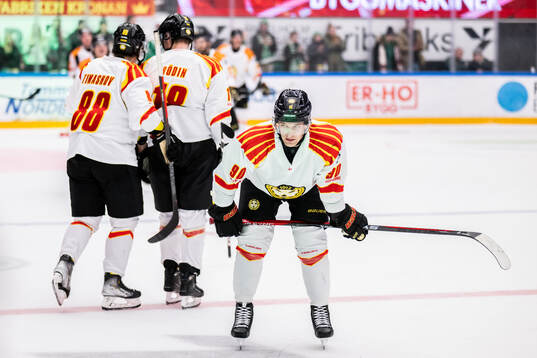 Brynäs David Sklenicka deppar
