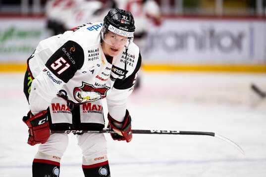 Malmö Redhawks Emil Sylvegård
