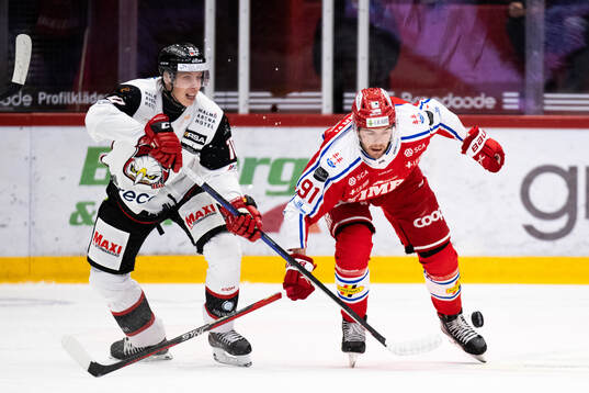 Malmö Redhawks William Von Barnekow och Timrås Magnus