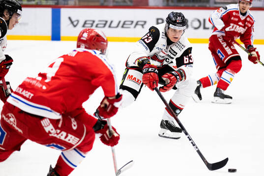 Malmö Redhawks Fredrik Händemark