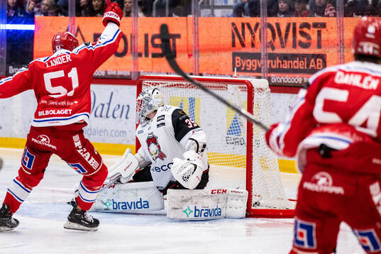 Timrås Anton Lander jublar