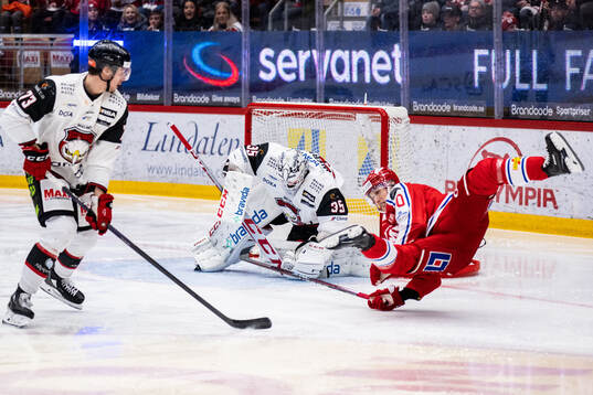 Timrås Robin Alvarez och Malmö Redhawks målvakt Adam
