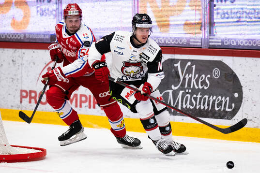 Malmö Redhawks Carl-Johan Lerby och Timrås Jonathan