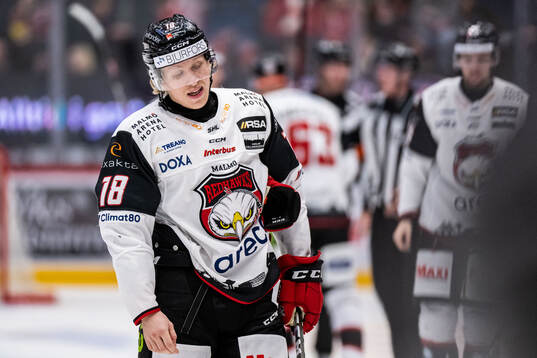 Malmö Redhawks Marcus Sylvegård deppar